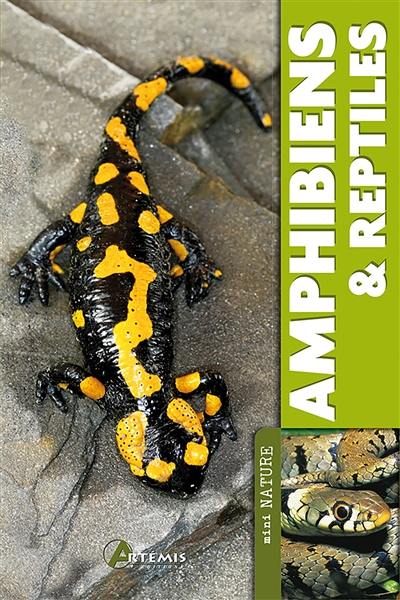 Amphibiens & reptiles Amphibiens & reptiles