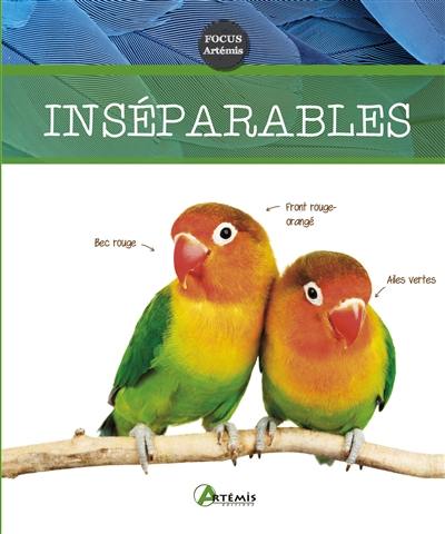 Inséparables Inséparables