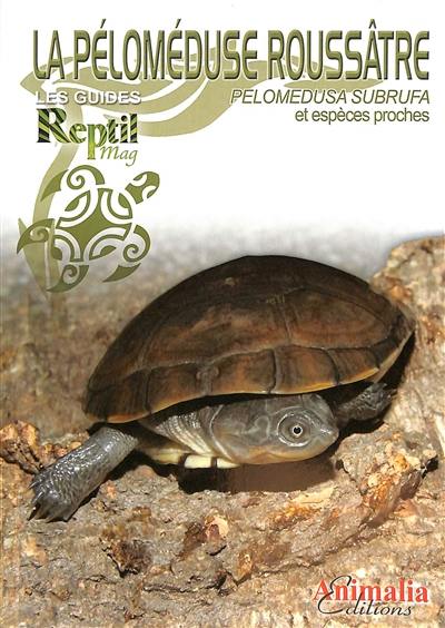 La péloméduse roussâtre : pelomedusa subrufa et espèces proches La péloméduse roussâtre : pelomedusa subrufa et espèces proches
