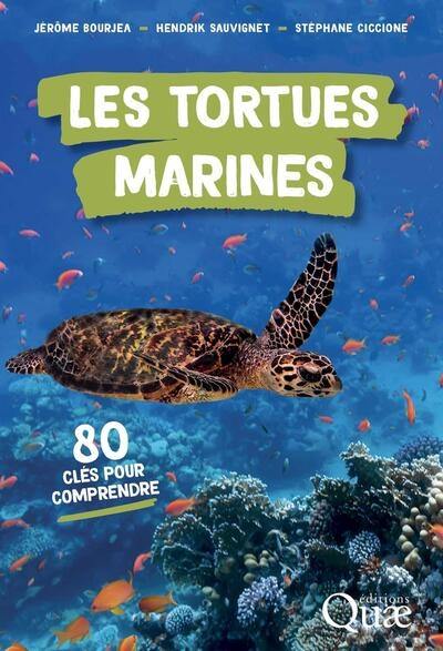 Les tortues marines : 80 clés pour comprendre Les tortues marines : 80 clés pour comprendre