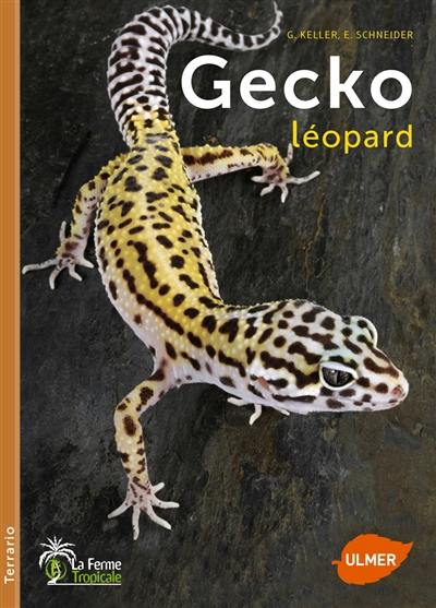 Gecko léopard Gecko léopard