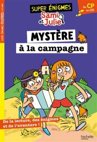 Les super énigmes de Sami et Julie : du CP au CE1